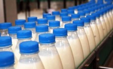 Молокозаводы, хлебозаводы и потребкооперация получат субсидии
