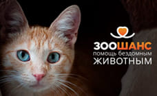 МТБанк во Всемирный день защиты животных запускает благотворительную акцию в поддержку «ЗООшанса» 