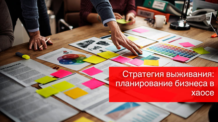 Стратегия выживания планирование бизнеса в хаосе