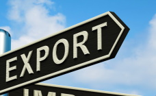 Николай Снопков рассказал, как правительство решает проблемы с экспортом 