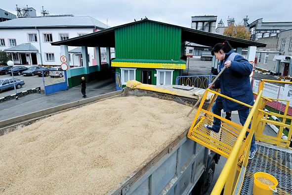 Чтобы оптимизировать цену комбикормов, на заводе стремятся закупить зерно нового урожая в кратчайшие сроки