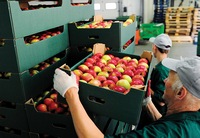 Минск и Варшава