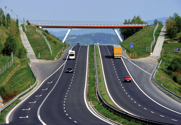 белорусские инвесторы Армения